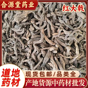 �t��ꪼtѿ��� �t����� �ϴ����ܾ����ꪼt��� �ϴ�� �V���