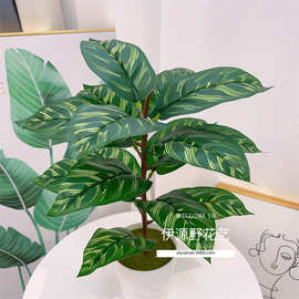 假花绿植盆栽墙面装饰仿真植物叶子背景墙插花配材绿萝叶孔雀叶