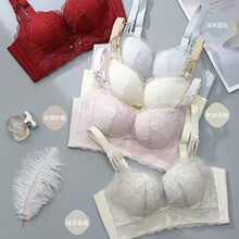 ����8906�޸�Ȧ��£���ո��鴿����˿AB����Ů�Ӻ�����С��