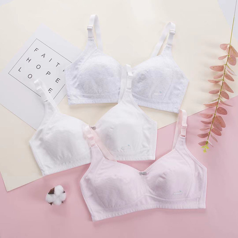 Girls' Underwear Development Period Small Vest Girls' Children's Pure Cotton Primary School Girl's Junior High School Student's Junior High School Girl's Bra