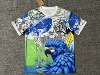 2526 Brazilian gray green blue white blue parrot version