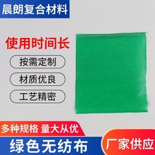 批发 绿色无纺布 彩色PP纺粘无纺布 彩色包装卷材一次性用布家纺