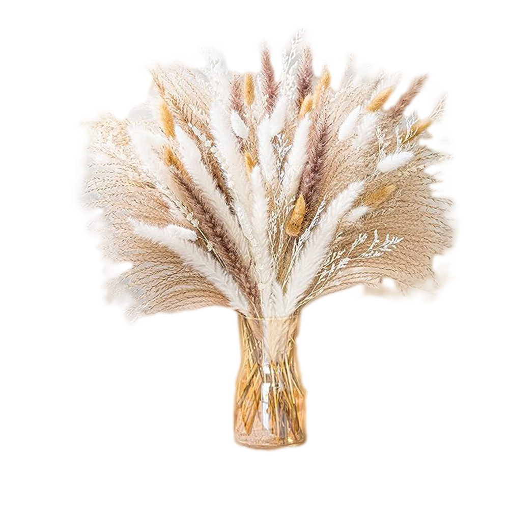 Ramo de caña de flores secas de Amazon, batidor de hierba de cola de conejo, ramo de flores secas de Yunnan, decoración de muebles al por mayor