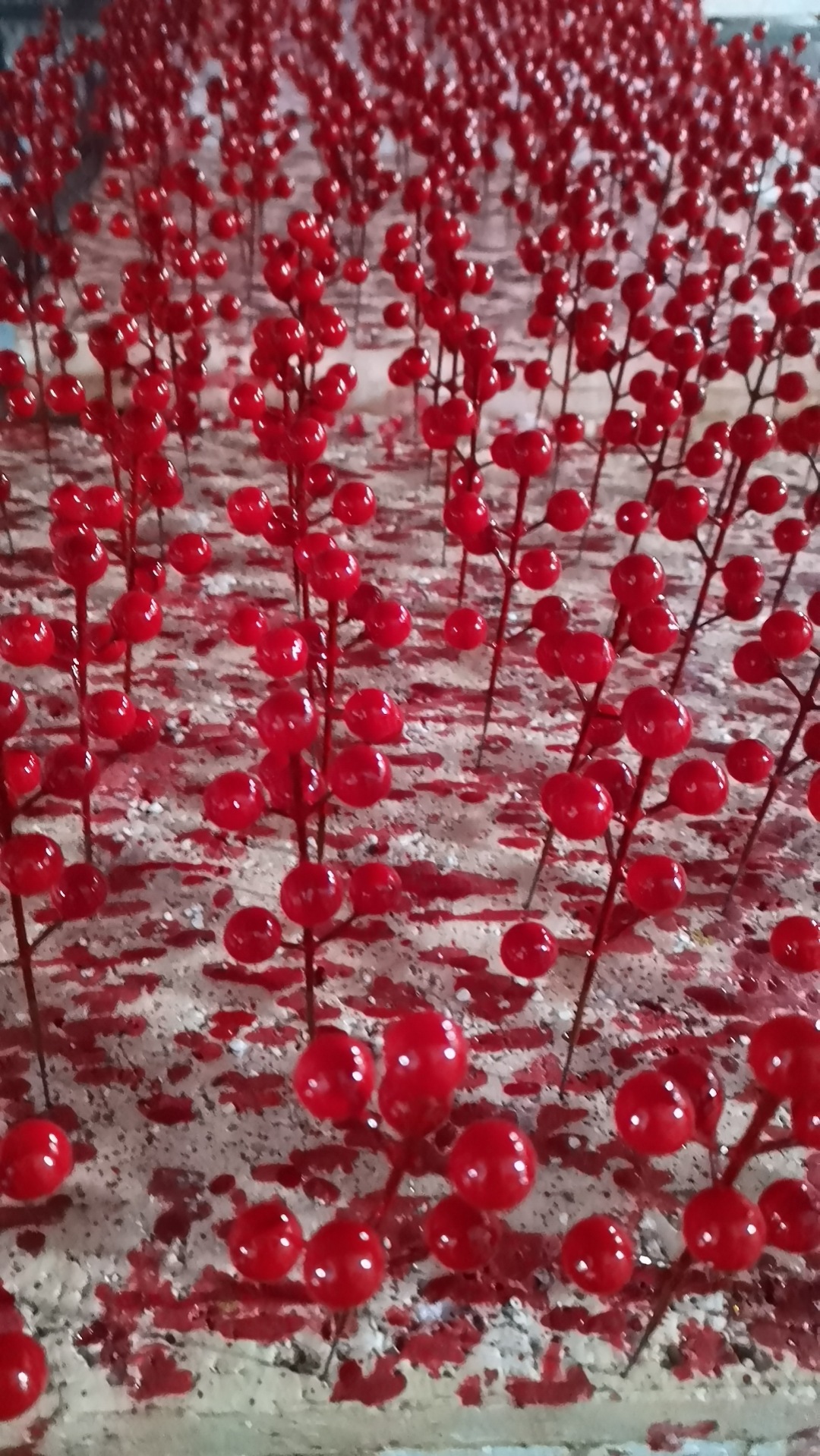 c38a59e102601cc351d94d6d673a5d