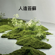 ����̦�\��Ƥ�����ٲ�ƺ��������̦΢���^�Gֲ�쾰�ٲݽz���滨