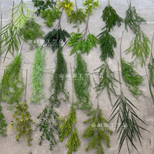 森系仿真绿植网红卢荀草千层金蓬莱松胖松绿色叶子打底吊顶