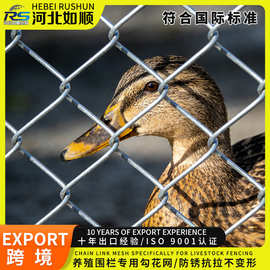 冷热镀锌菱形钢丝方格握边养殖隔离防护宁边围栅栏铁丝编织勾花网