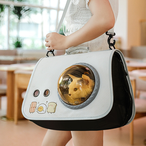 Pet portable space bag, cat bag, portable foldable shoulder bag, breathable backpack, cartoon cat and dog bag