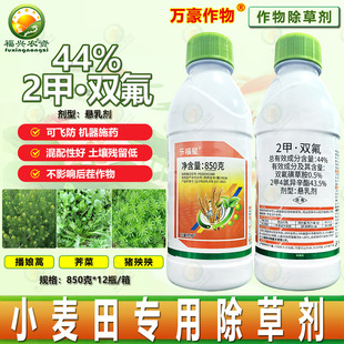 44%2��4�Ȯ������p���ǲݰ�С����ó��݄�������~�s��ș�rș