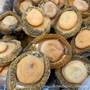 �Ϸ��U�~ �ϷǸ��U�ϷǼ�Ʒ�U�~�����U�~���l�Ϸ��U�~��؛2-100�^