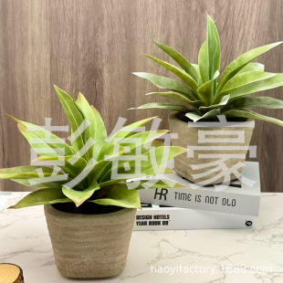 ��Ʒ ���R�d�羳��� ���滨����Gֲ���� �W���Ҿ������҃Ȕ[��