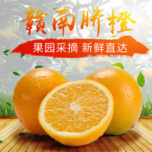 江西贛南臍橙現貨現發水果橙子新鮮應季孕婦水果產地包郵一件代發