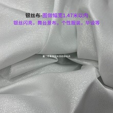 银丝布 闪光布 银丝线布 数码印花面料 细闪满天星 服装布料