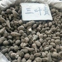 ���~����؛���x�㽭����������ʯ�����в�ș�����J