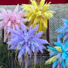 �����JȔ��ë���� �̇���ͬ�����������̈���ꐵ��߻�c���l