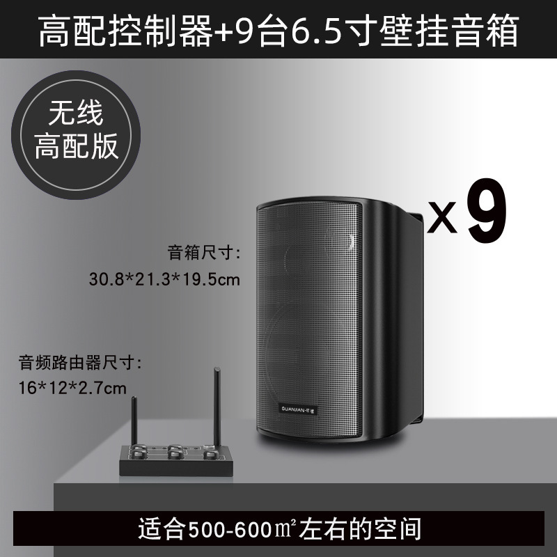 壁挂无线音响店铺舞蹈教室餐厅健身房会议室商用音箱组合套装|undefined