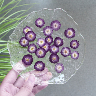 Mini Rose Dried Flower Embossed Gel Dropping Mobile Phone Case Real Flower Plant Specimen diy Photo Frame Flower Table Lamp Material