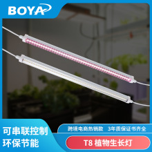 ֲ���ȫ���V36w����ֲ���a���t8��ˮ���l�҃�����ֲ��ˮ������