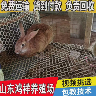 ������ͱ����r�����Bֳ�����u���|�s��Ұ�ñ����r�����ӻ���