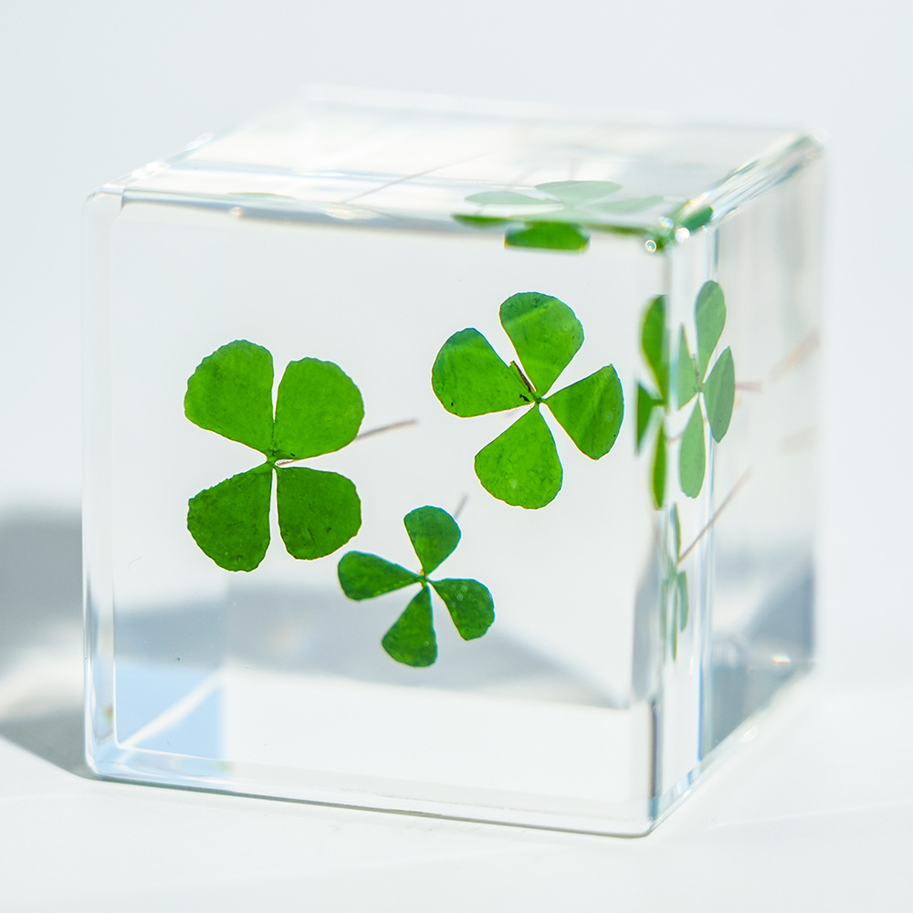 【Airplane Box】Cube Four Leaf Clover