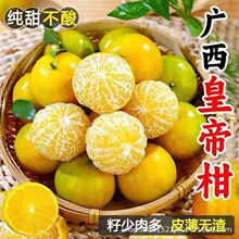 广西皇帝柑新鲜当季水果薄皮无渣纯甜橘子整箱批发现摘贡柑