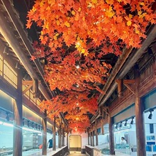 ������~����b��ټt���~�������컨��پGֲ�Շ�ֲ����ڳ�