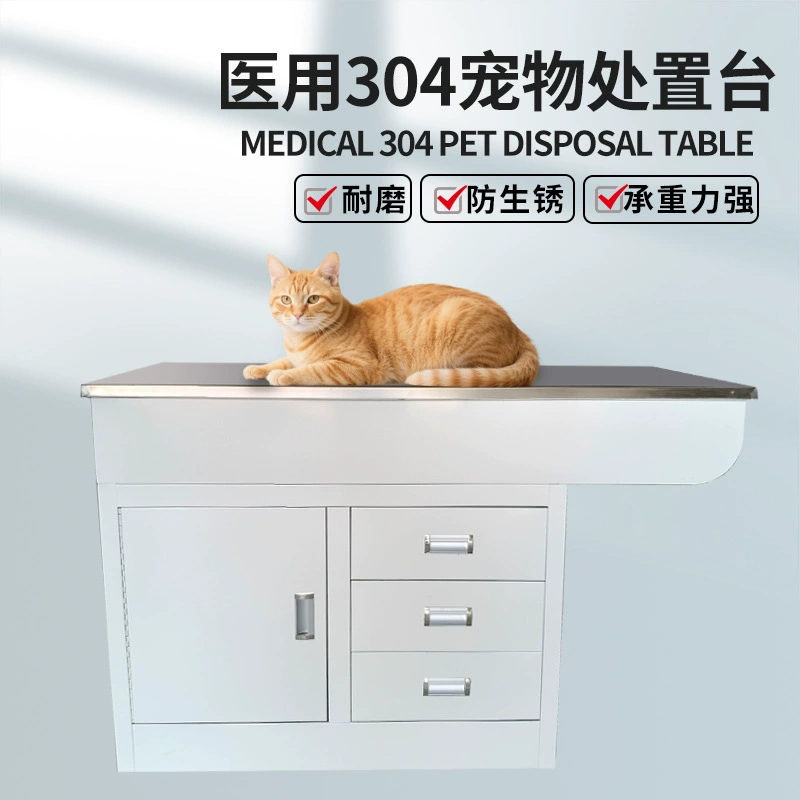 Стол для утилизации домашних животных из нержавеющей стали 304, столовая для мытья и вскрытия животных в ветеринарной клинике, операционный стол для стерилизации и чистки зубов кошек и собак