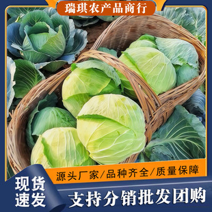 �Fժ�Ĵ�ɏ�������r�����r�Ҿ��Ĳ˾G���{��˺�ײ��߲�5/10�����l