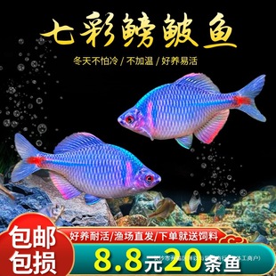 �Q�߲���ƤȺ��ˮ�~��С���~�^�p�~�~���wԭ�������B��ˮ���~����