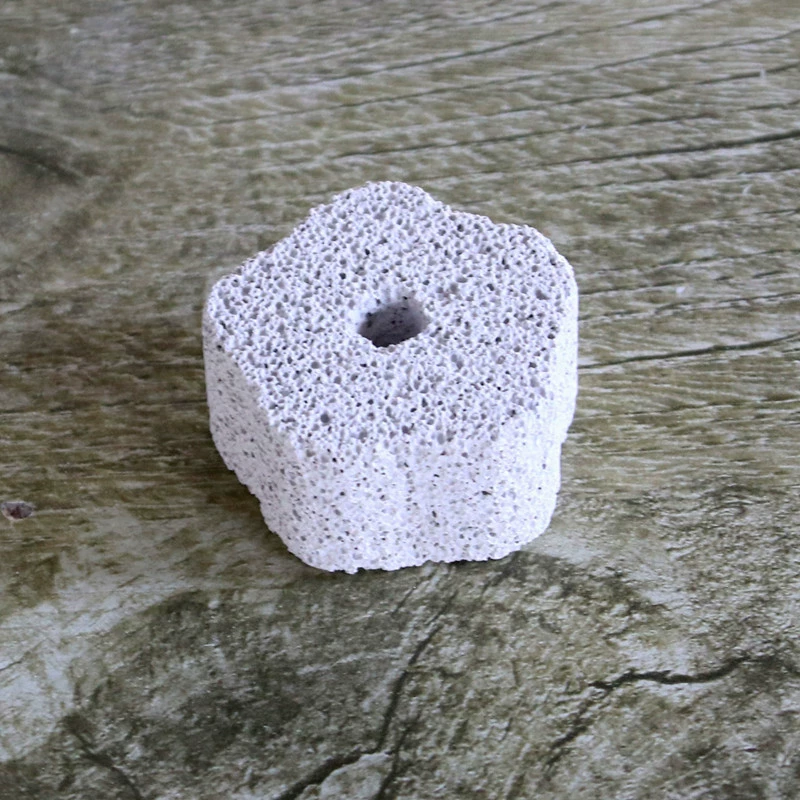 Цветение сливы Вулканический попугай Молярный камень Хомяк Маленькое домашнее животное Молярный камень Кролик Морская свинка Вулканическая скала Устойчивый к укусам