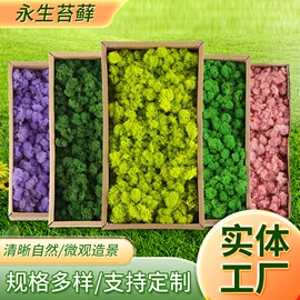植物工艺品;木质工艺品;工艺原料