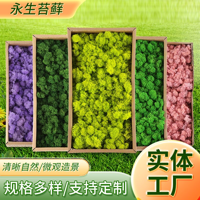 Moss Reindeer Core Eternal Moss 500g Artificial Flower Material Green Plant Wall Decoration DIY Landscaping Plant Crafts