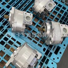 705-12-29010-适用起重机液压齿轮泵 总成  机械配件LW200 车型