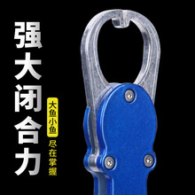 ·�����Q���~���๦��·���Q�����~���~���A���~��s���~�Q��