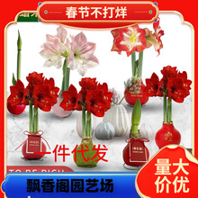 һ�����l�M��Ϟ����피t�N��ʯϞ�tɫ����ֲ���Y�жYƷ�Y���^