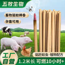 1.2����ð�����Ⱜ�lҰ������������i�ô�������Ұ�I�Bֳ��