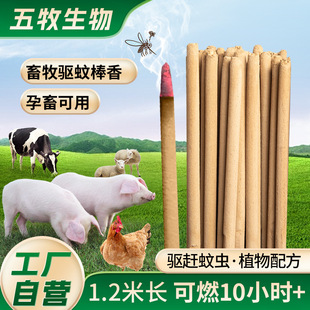 1.2����ð�����Ⱜ�lҰ������������i�ô�������Ұ�I�Bֳ��