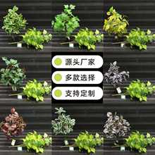 СG}~ع~O~ٻGֲƺb̨řڲ廨