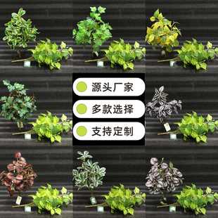 ����С�����G�}�~�ع��~�O���~�ٻ��Gֲ����ƺ�b��̨�řڲ廨