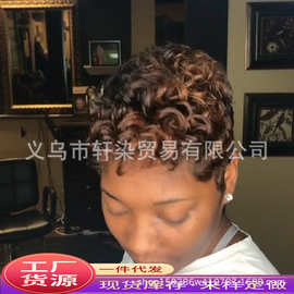 非洲女士短发假发 欧美外贸假发爆炸小卷发 化纤假发头套现货代发