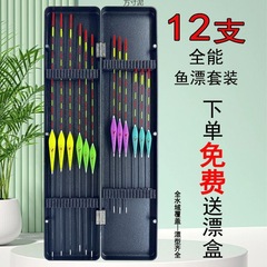 浮漂套裝魚漂漂盒野釣高靈敏加粗醒目輕口鯽魚漂鰱鱅浮漂漁具批發