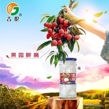 吉伦糖水荔枝罐头3g新鲜水果罐头休闲甜品零食商用整箱批发厂批发