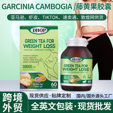 藤黄果胶囊 跨境外贸oem体重管理白芸豆绿咖啡豆绿茶藤黄果胶囊