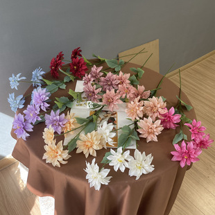 �ͮ��L��c���������4�^��������ș��ɫ��Y·�������bٻ�