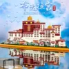 Budalagong 5211 шт.