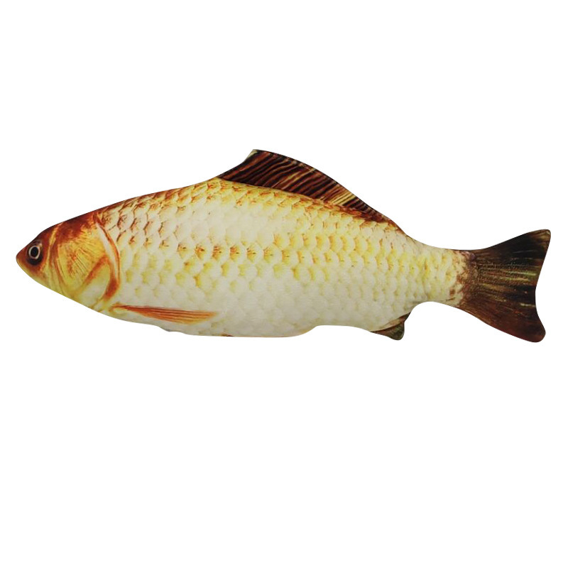 Carassius auratus 20cm