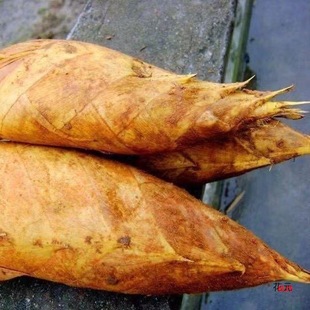 �����r���S���r����S �r���߲˴��S�r�ҬF����񶬹S