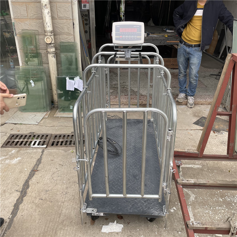 60x120cm300公斤称猪电子地磅 600x1500mm动态称重围栏电子平台秤