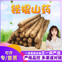 【严选】河北铁棍山药 代发5斤新鲜山芋小白香糯铁杵山药礼盒