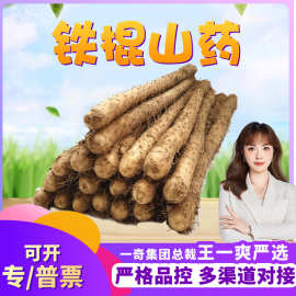 【严选】河北铁棍山药 代发5斤新鲜山芋小白香糯铁杵山药礼盒